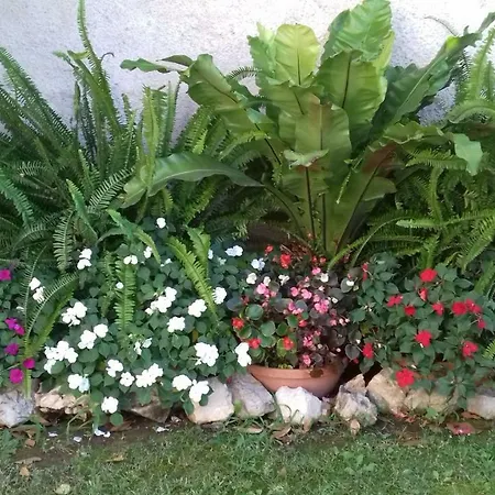 Helen * ツリクヴェニツァ